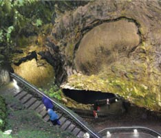 algar do carvao